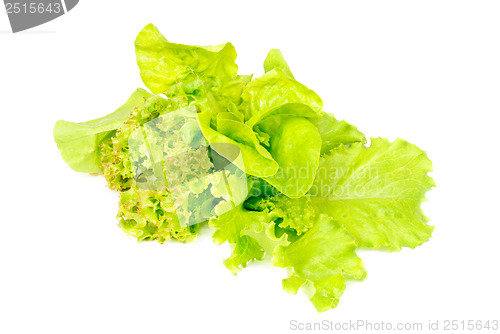 Image of Mix fresh salad isolated on white background 