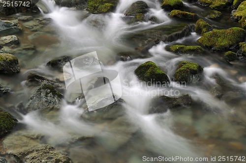 Image of Muir Woods