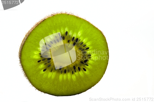 Image of Kiwi