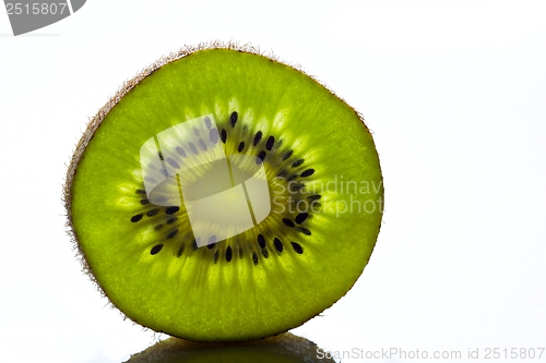 Image of Kiwi