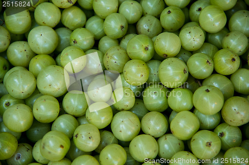 Image of Gooseberry