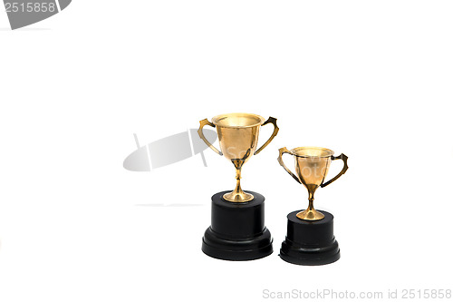Image of Trophy