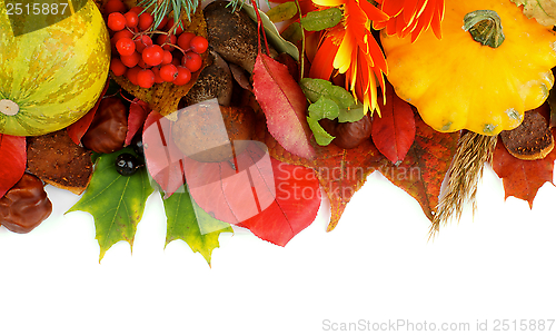 Image of Autumn Frame