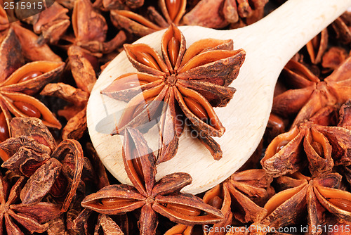 Image of Fresh anise-star, nature spice background 