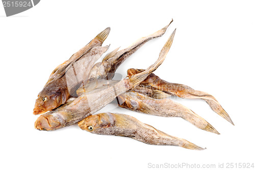 Image of Dried bullhead (goby) isolated on white 