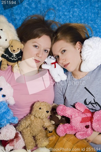 Image of Stuffed Animals