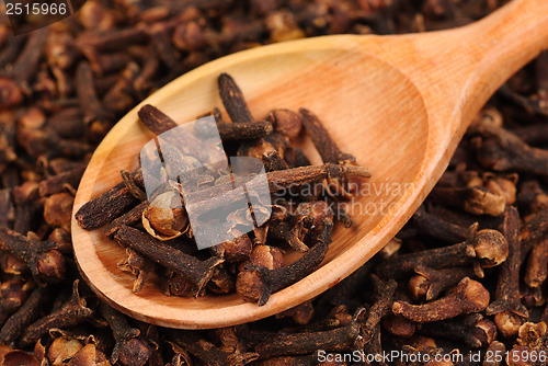 Image of Cloves (spice) and wooden spoon close-up food background 
