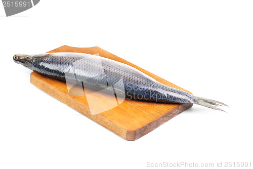 Image of herring on wooden hardboard isolated on white background 