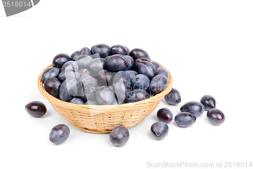 Image of fresh blue plums in fruit basket on the white background  