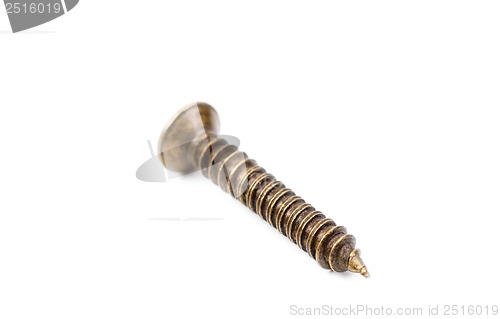 Image of Brass screws isolation on a white  background 