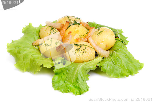 Image of New potato  and green  salad  isolated  on  white background 