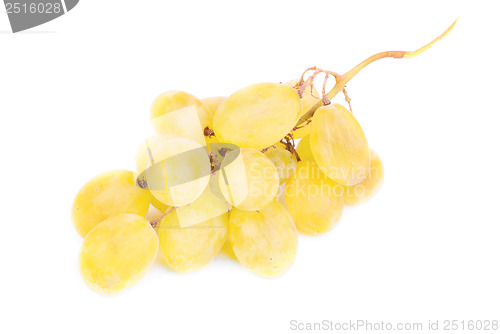 Image of White grapes isolated on white background 