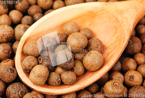 Image of Background texture of whole allspice(jamaica pepper) with wooden spoon Used as a spice in cuisines all over the world. Also used in medicine.