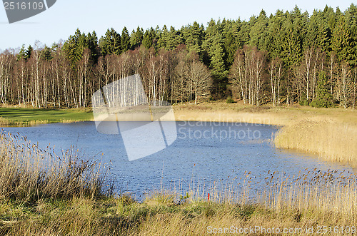 Image of Little lake