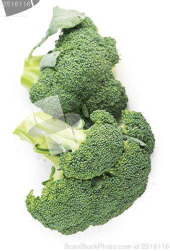 Image of Broccoli vegetable