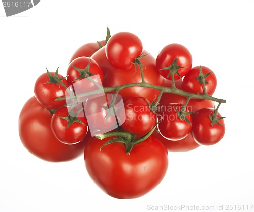 Image of fresh red tomatoes