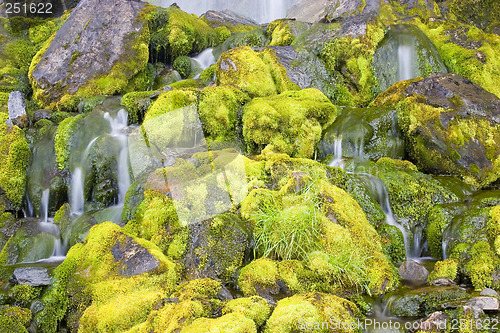 Image of Green mossy waterfall