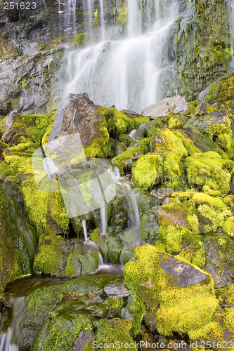 Image of Green waterfall