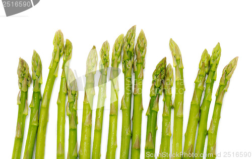 Image of young shoots of asparagus 