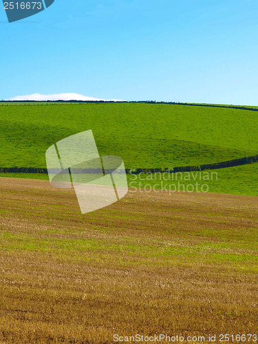 Image of Cardross hill panorama