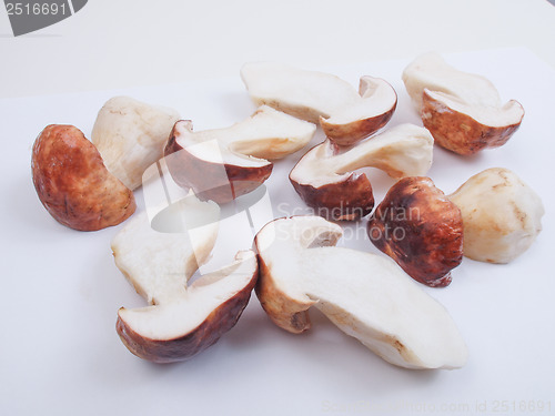 Image of Porcini Mushroom