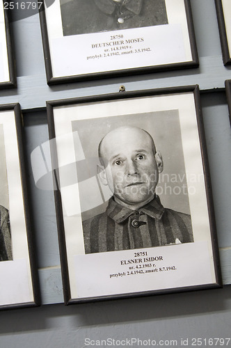 Image of editorial photo portrait of deceased Auschwitz Nazi Concentraion