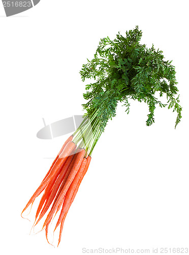 Image of Fresh carrots