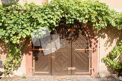 Image of entrance gate overgrown with vine