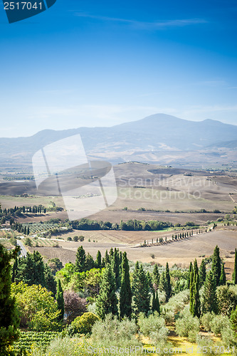 Image of Pienza Landscape