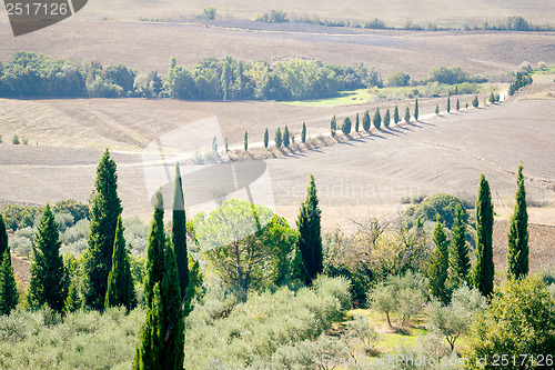 Image of Pienza Landscape