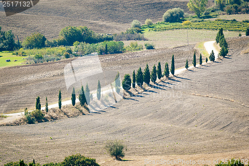 Image of Pienza Landscape