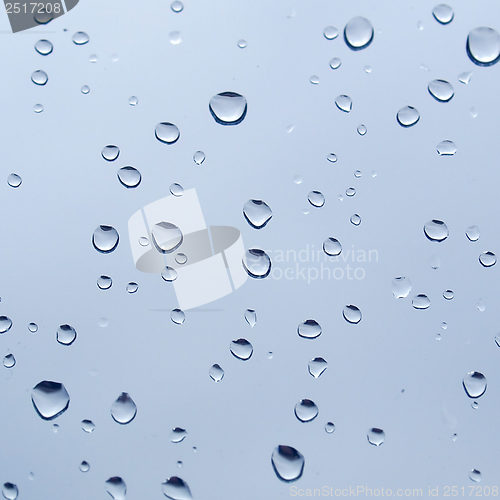 Image of Rain droplets