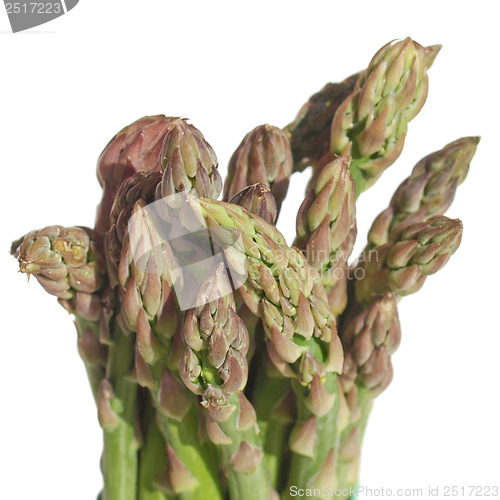 Image of Asparagus