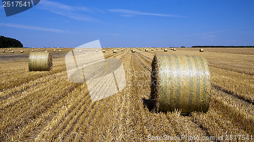 Image of Straw bales 