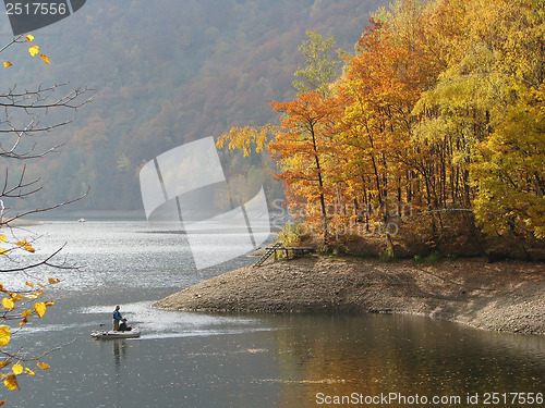 Image of Autumn Forest