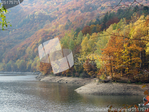 Image of Autumn Forest