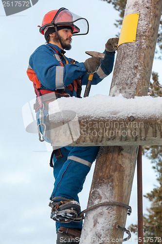Image of Electrician working on a power line pole