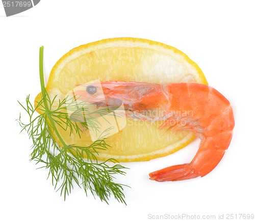 Image of shrimp, a lemon, fennel