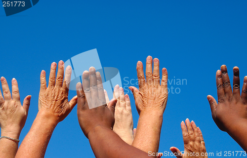 Image of Diverse hands