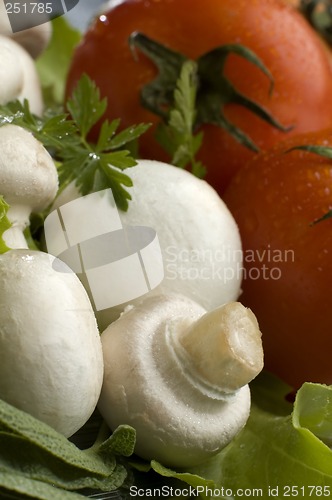 Image of mushrooms