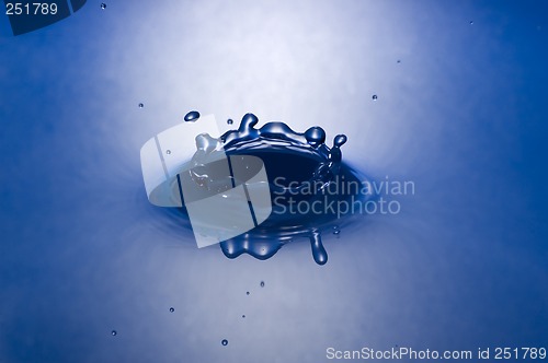 Image of drop