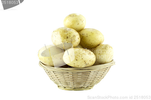 Image of --