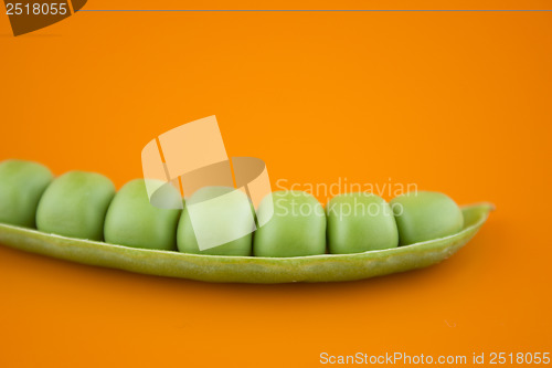 Image of fresh pea