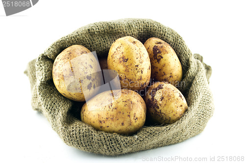 Image of potatoes in burlap sack