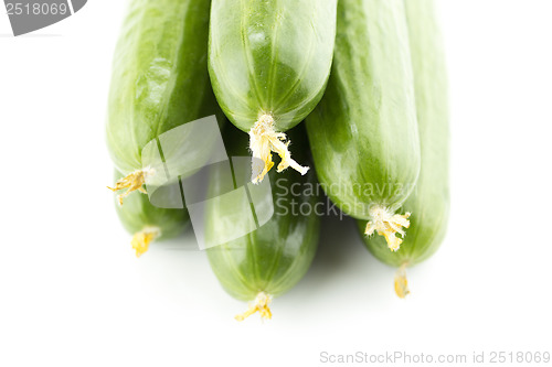 Image of Fresh Cucumber