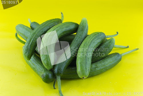 Image of Fresh Cucumber