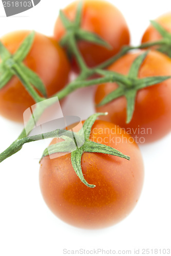 Image of fresh cherry tomatoes
