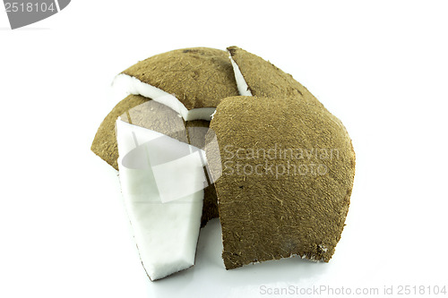 Image of fresh Coconut parts 