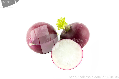 Image of Small garden red radish