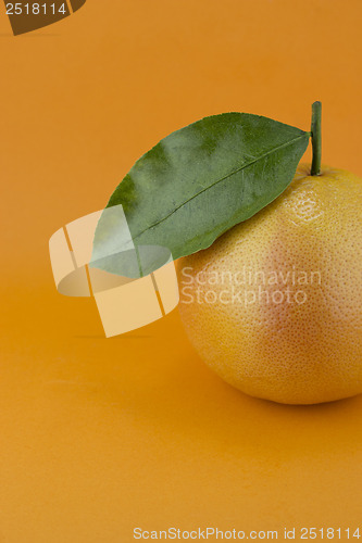 Image of Ripe appetizing grapefruit 